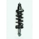 Purchase Top-Quality Rear Complete Strut Assembly by WORLDPARTS STRUTS - W1345416R pa1