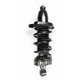 Purchase Top-Quality Rear Complete Strut Assembly by WORLDPARTS STRUTS - W1345417R pa1