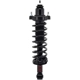 Purchase Top-Quality Rear Complete Strut Assembly by WORLDPARTS STRUTS - W1345434 pa2