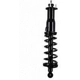 Purchase Top-Quality Rear Complete Strut Assembly by WORLDPARTS STRUTS - W1345480R pa1