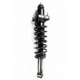 Purchase Top-Quality Rear Complete Strut Assembly by WORLDPARTS STRUTS - W1345484 pa1