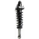 Purchase Top-Quality Rear Complete Strut Assembly by WORLDPARTS STRUTS - W1345484 pa2