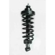 Purchase Top-Quality Rear Complete Strut Assembly by WORLDPARTS STRUTS - W1345540 pa1