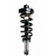 Purchase Top-Quality Rear Complete Strut Assembly by WORLDPARTS STRUTS - W1345561 pa1