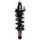 Purchase Top-Quality Rear Complete Strut Assembly by WORLDPARTS STRUTS - W1345688R pa1