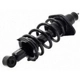 Purchase Top-Quality Rear Complete Strut Assembly by WORLDPARTS STRUTS - W1345688R pa5