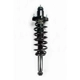 Purchase Top-Quality Rear Complete Strut Assembly by WORLDPARTS STRUTS - W1345750 pa1