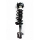 Purchase Top-Quality Rear Complete Strut Assembly by WORLDPARTS STRUTS - W2331008R pa1