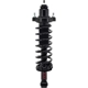 Purchase Top-Quality Rear Complete Strut Assembly by WORLDPARTS STRUTS - W2345434 pa2