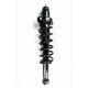 Purchase Top-Quality Rear Complete Strut Assembly by WORLDPARTS STRUTS - W2345484 pa1