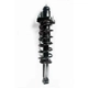 Purchase Top-Quality Rear Complete Strut Assembly by WORLDPARTS STRUTS - W3345484 pa1