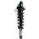 Purchase Top-Quality Rear Complete Strut Assembly by WORLDPARTS STRUTS - W3345484 pa2