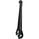 Purchase Top-Quality Rear Control Arm by CRP/REIN - SCA0035P pa4