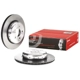 Purchase Top-Quality Rear Disc Brake Rotor by BREMBO - 09.C411.13 (1 Qty) pa6