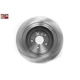 Purchase Top-Quality Rotor de frein à disque arrière by PROMAX - 14-31273 pa3