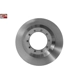 Purchase Top-Quality Rear Disc Brake Rotor by PROMAX - 14-54119 pa3