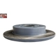 Purchase Top-Quality Rear Disc Brake Rotor by PROMAX - 14-610047 pa2