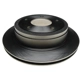 Purchase Top-Quality Vented Rear Disc Brake Rotor - RAYBESTOS R-Line - 680363R pa14