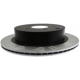 Purchase Top-Quality Rotor de frein à disque arrière fendu - RAYBESTOS Specialty Street Performance - 980155PER pa8