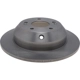 Purchase Top-Quality RAYBESTOS - 981581R - Brake Rotor pa3