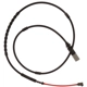 Purchase Top-Quality RAYBESTOS - EWS198 - Rear Disc Brake Pad Wear Sensor pa1