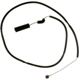 Purchase Top-Quality RAYBESTOS - EWS39 - Rear Disc Pad Sensor Wire pa9
