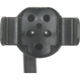 Purchase Top-Quality STANDARD - PRO SERIES - PWS155 - Rear Disc Pad Sensor Wire pa3