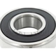 Purchase Top-Quality Rear Generator Bearing by SKF - 6204-2RSJ pa16