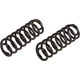 Purchase Top-Quality MOOG - 81069 - Rear Heavy Duty Coil Springs pa6
