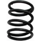 Purchase Top-Quality Rear Hold Down Spring (Pack of 12) by RAYBESTOS - H1158 pa7
