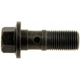 Purchase Top-Quality Rear Hose To Caliper Bolt by DORMAN/HELP - 13912 pa1