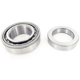 Purchase Top-Quality Rear Inner Bearing by SKF - BR10 pa6