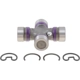 Purchase Top-Quality Rear Joint by DANA SPICER - 25-3022-1X pa1