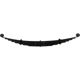 Purchase Top-Quality DORMAN (OE SOLUTIONS) - 22-1205 - Suspension Leaf Spring pa1