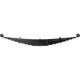 Purchase Top-Quality DORMAN (OE SOLUTIONS) - 22-1209HD - Suspension - Leaf Spring pa1