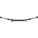 Purchase Top-Quality DORMAN (OE SOLUTIONS) - 22-1417 - Rear Leaf Springs pa2