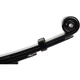 Purchase Top-Quality DORMAN (OE SOLUTIONS) - 43-1747 - Suspension Leaf Spring pa4