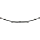 Purchase Top-Quality DORMAN (OE SOLUTIONS) - 43-1847 - Rear Leaf Springs pa3