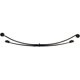 Purchase Top-Quality DORMAN (OE SOLUTIONS) - 46-1341 - Suspension Leaf Spring pa1