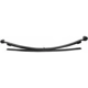 Purchase Top-Quality Rear Leaf Springs by DORMAN (OE SOLUTIONS) - 929-600 pa2