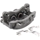 Purchase Top-Quality NUGEON - 99P17396A - Rear Driver Side Brake Caliper pa2