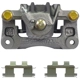 Purchase Top-Quality NUGEON - 99-00821A - Rear Driver Side Brake Caliper pa3