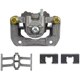 Purchase Top-Quality NUGEON - 99-01007B - Rear Driver Side Brake Caliper pa3