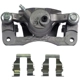 Purchase Top-Quality NUGEON - 99-01217A - Rear Driver Side Brake Caliper pa3