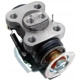 Purchase Top-Quality Rear Left Wheel Cylinder by RAYBESTOS - WC370008 pa17