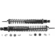 Purchase Top-Quality Rear Load Adjusting by MONROE/EXPERT SERIES - 58628 pa2
