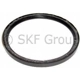 Purchase Top-Quality Rear Main Seal by SKF - 38119 pa1