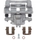 Purchase Top-Quality Rear New Caliper Left by TRUSTAR - CN2334 pa1