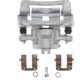 Purchase Top-Quality Rear New Caliper Right by TRUSTAR - CN2333 pa1