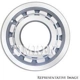 Purchase Top-Quality Rear Outer Bearing by TIMKEN - MA1206EF pa3